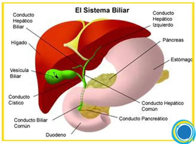 Corny assed comics: ¡Alíviate pronto, Mayii!