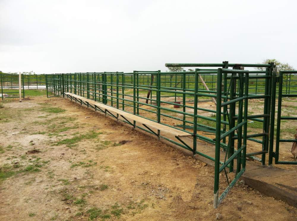 Corrales para manejo de ganado desde 50 hasta 1.000 animales ...