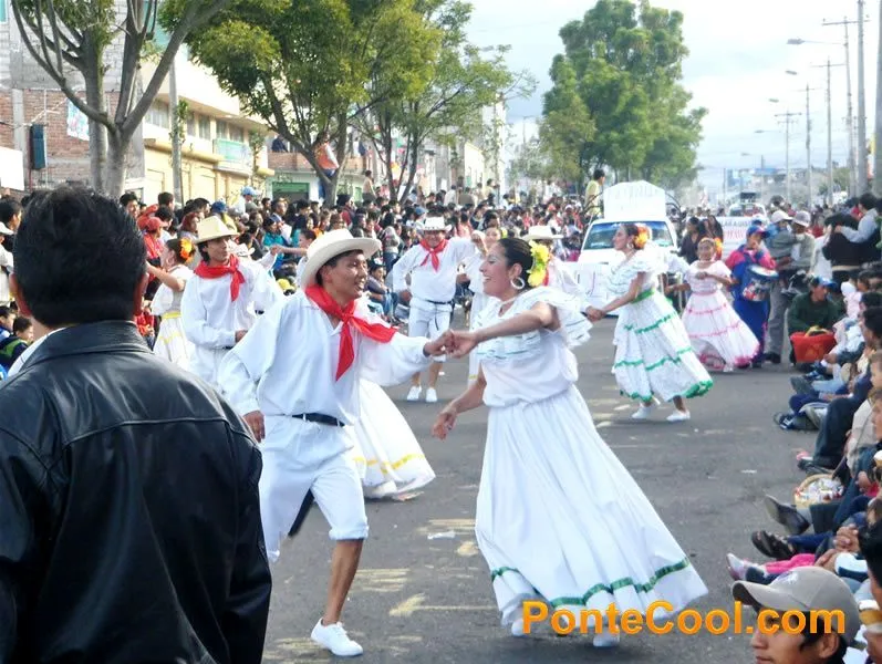 Corso de las Flores y la Alegria Ambato 2008