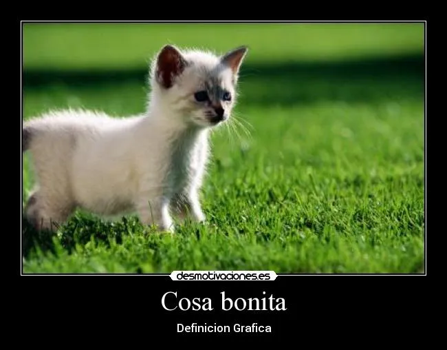 Cosa bonita | Desmotivaciones