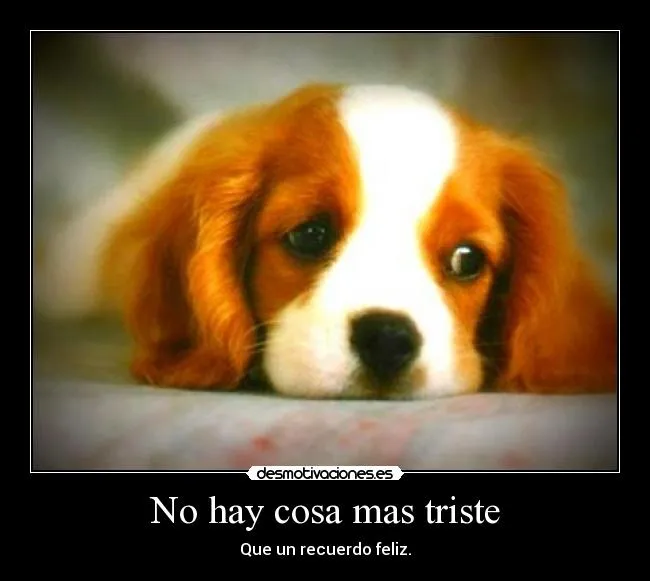 No hay cosa mas triste | Desmotivaciones