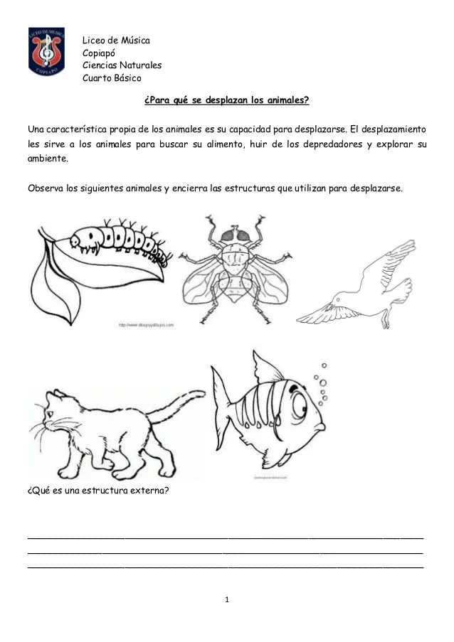 CoSqUiLLiTaS eN La PaNzA BLoGs: LOCOMOCIÓN DE LOS ANIMALES