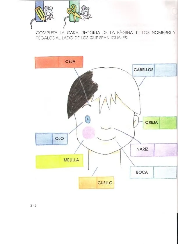 CoSqUiLLiTaS eN La PaNzA BLoGs: LAS PARTES DE LA CARA -MI CARITA