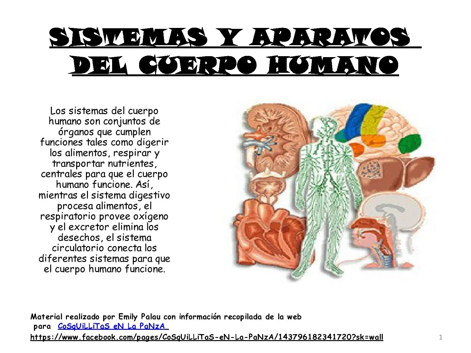 CoSqUiLLiTaS eN La PaNzA BLoGs: SISTEMAS Y APARATOS DEL CUERPO ...