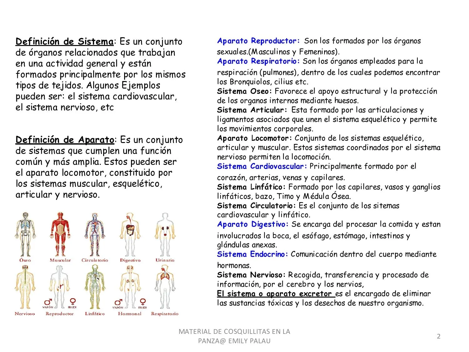 CoSqUiLLiTaS eN La PaNzA BLoGs: SISTEMAS Y APARATOS DEL CUERPO ...