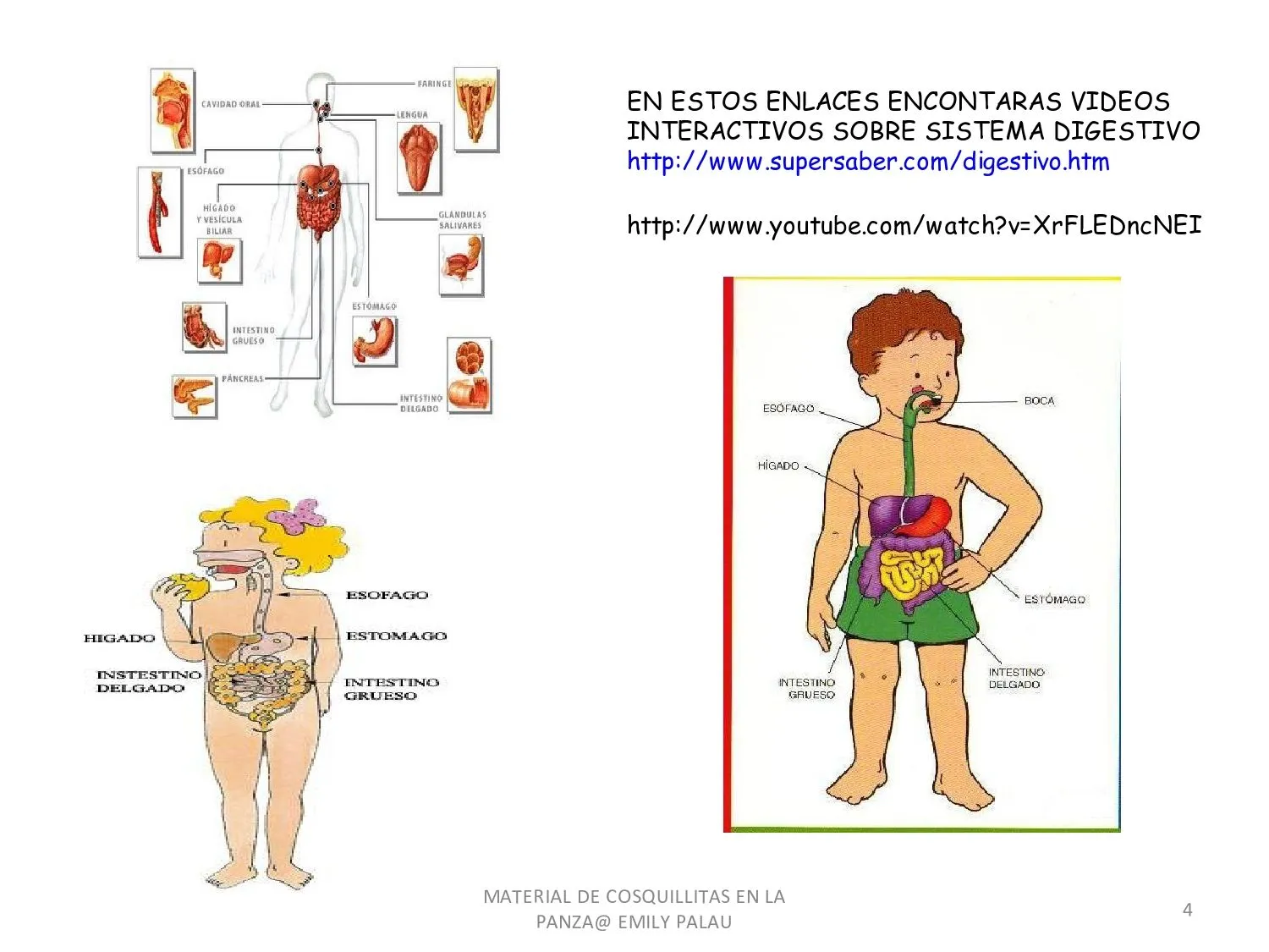 CoSqUiLLiTaS eN La PaNzA BLoGs: SISTEMAS Y APARATOS DEL CUERPO ...