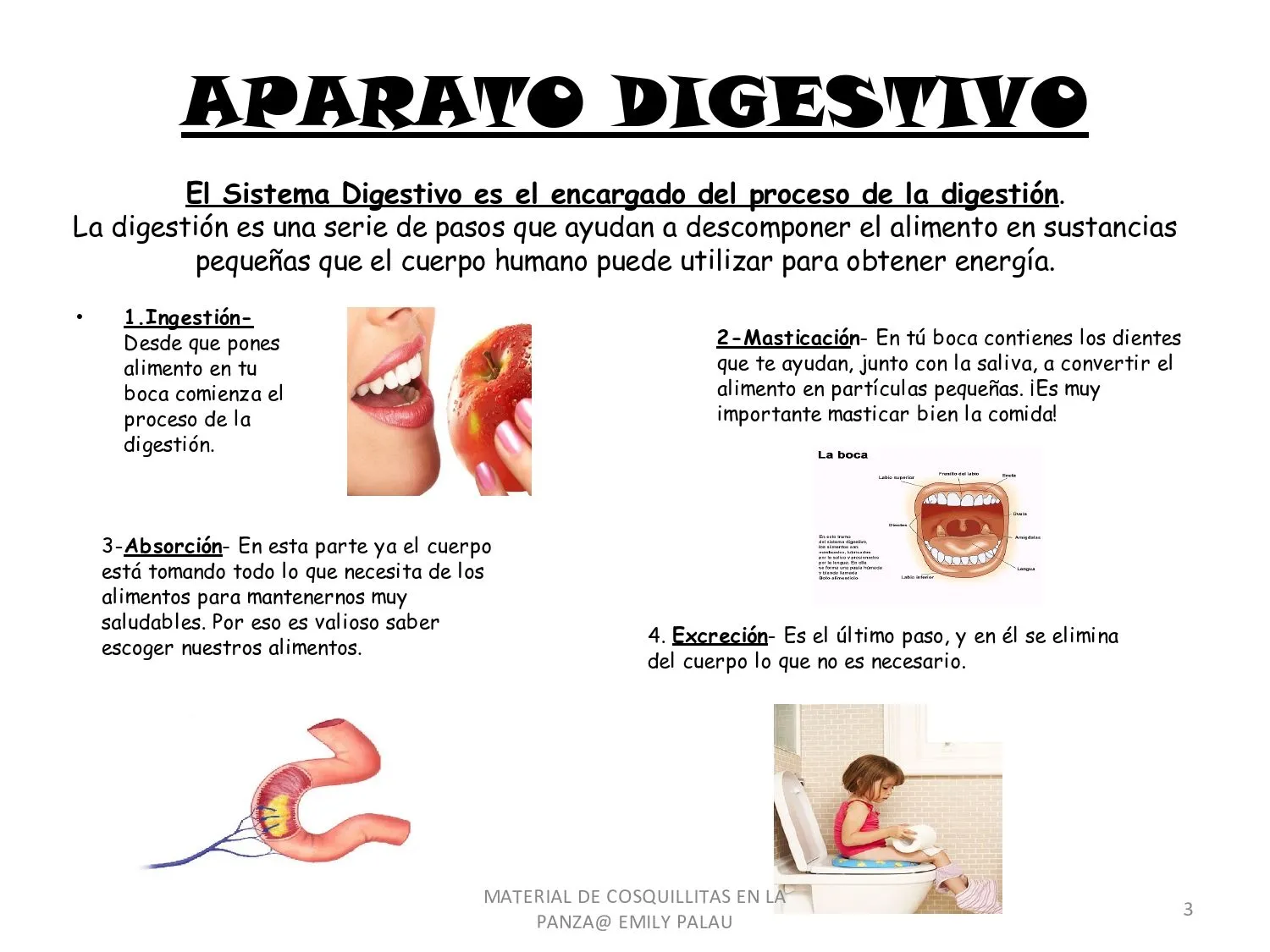 CoSqUiLLiTaS eN La PaNzA BLoGs: SISTEMAS Y APARATOS DEL CUERPO ...