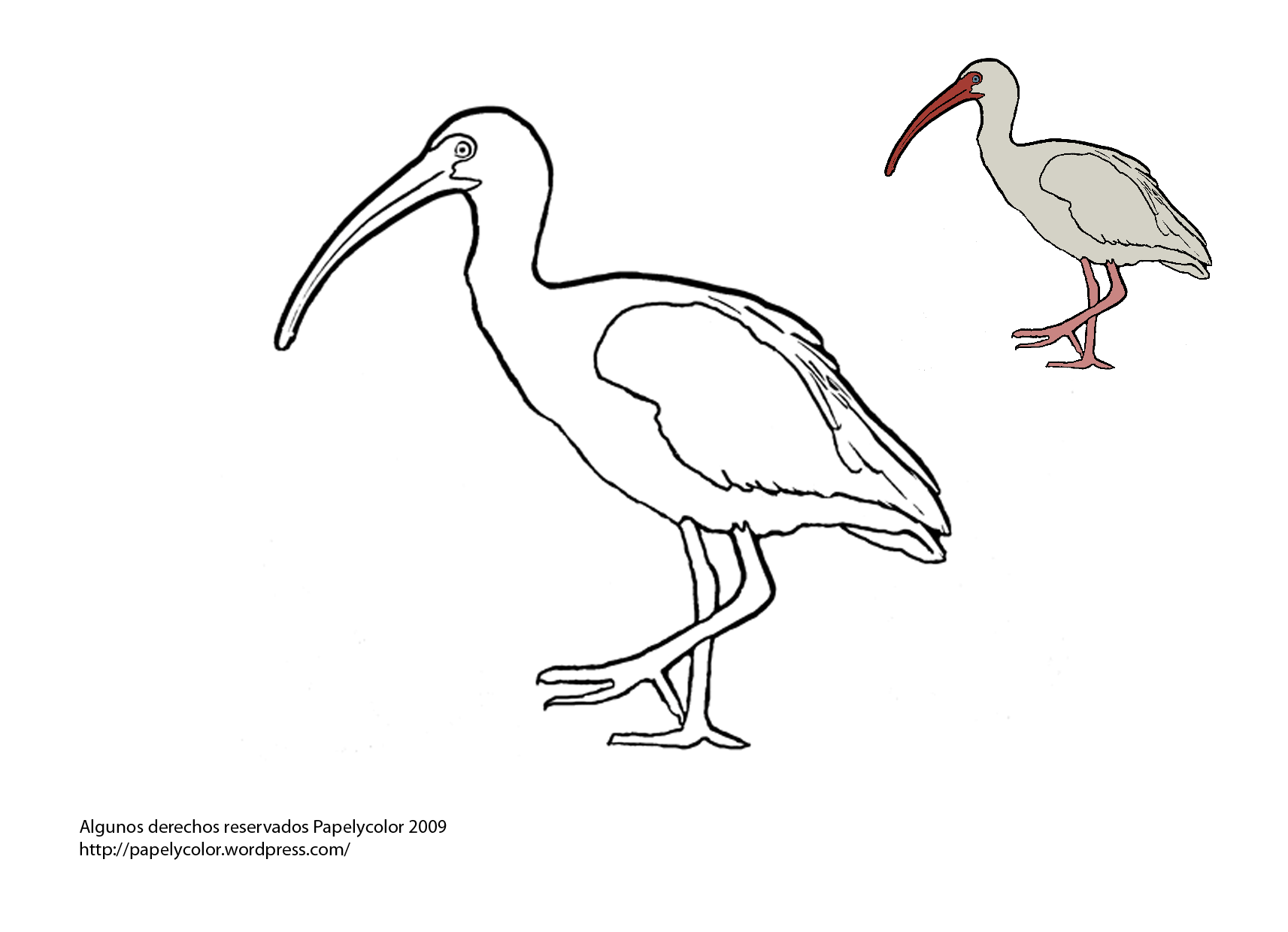 la costa Colouring Pages