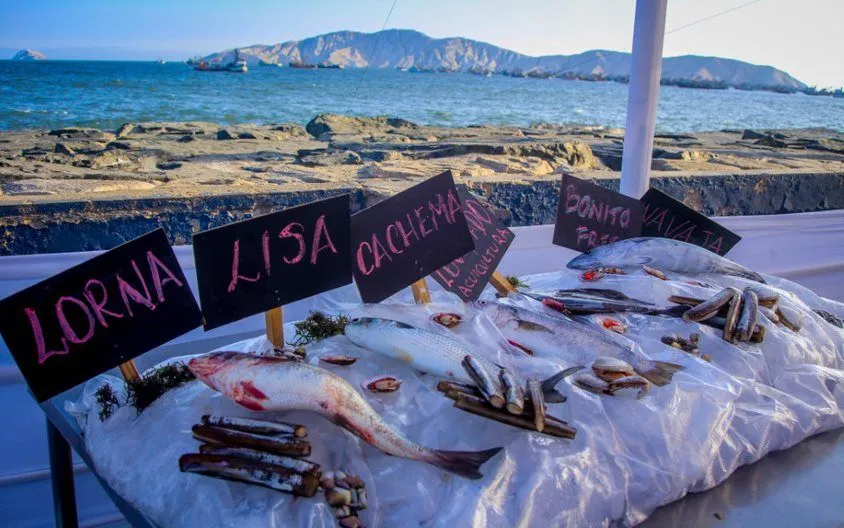 En la costa peruana 7 de cada 10 pescados son vendidos con otro nombre -  Conexion Ambiental