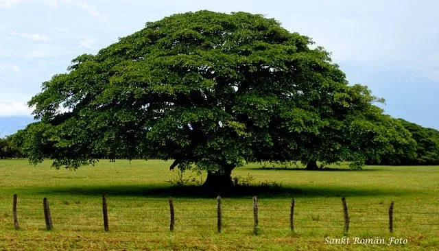 COSTA RICA