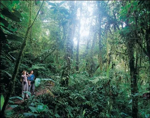 Costa Rica, destino de ecoturismo : Diario de un Turista