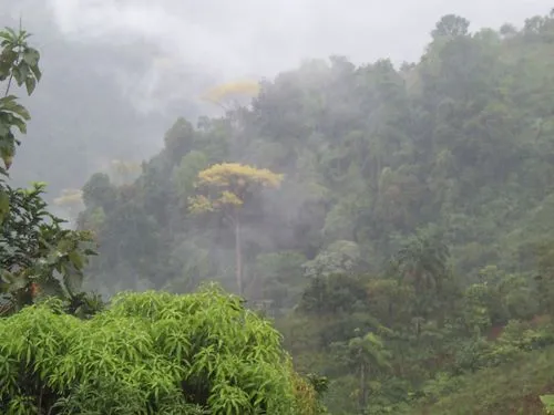 Costa Rica. Información turística y cultural - Ver países