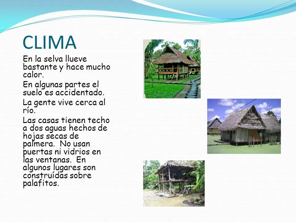 Costa, Sierra y Selva del Perú - ppt video online descargar