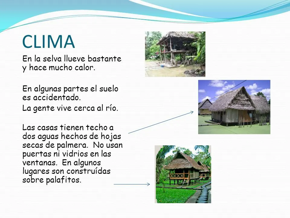 Costa, Sierra y Selva del Perú - ppt video online descargar