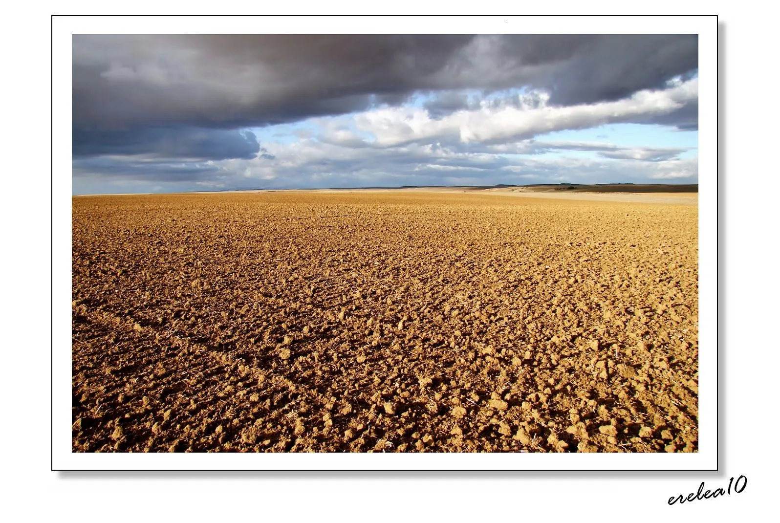 Cotidiano: Otoño en Tierra de Campos