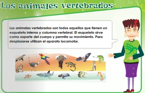 Animales invertebrados dibujo - Imagui