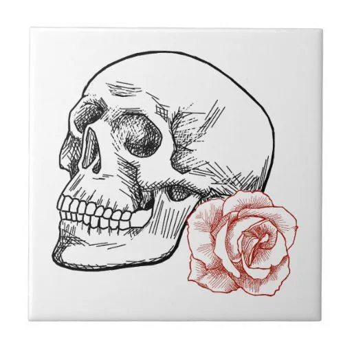 Cráneo humano con el dibujo lineal del rosa rojo azulejo cuadrado ...