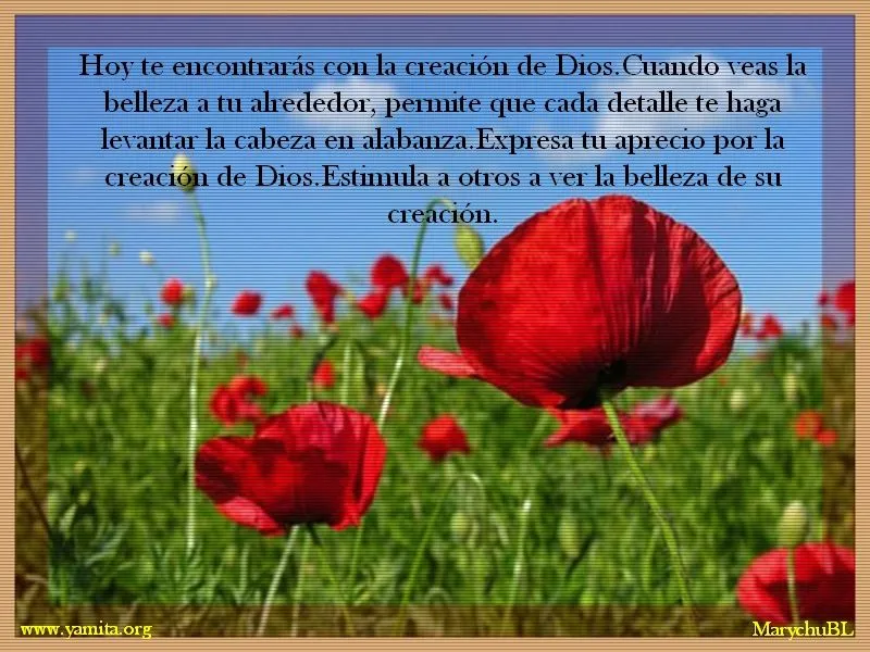  ... la creación de Dios - Facebook : Imagenes Cristianas para Facebook