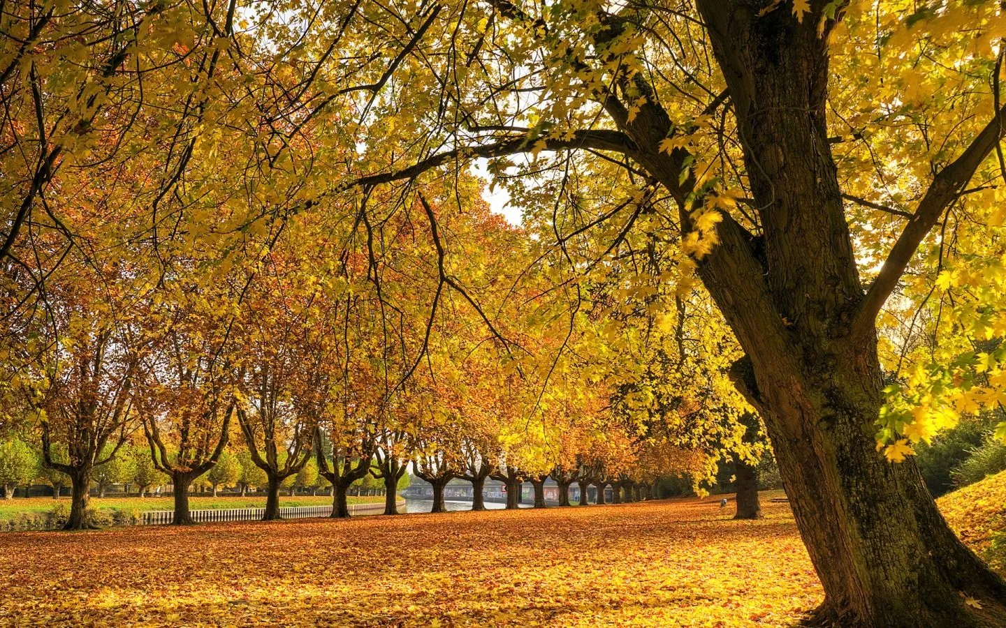 La Creación de Dios en fotografías.: OTOÑO