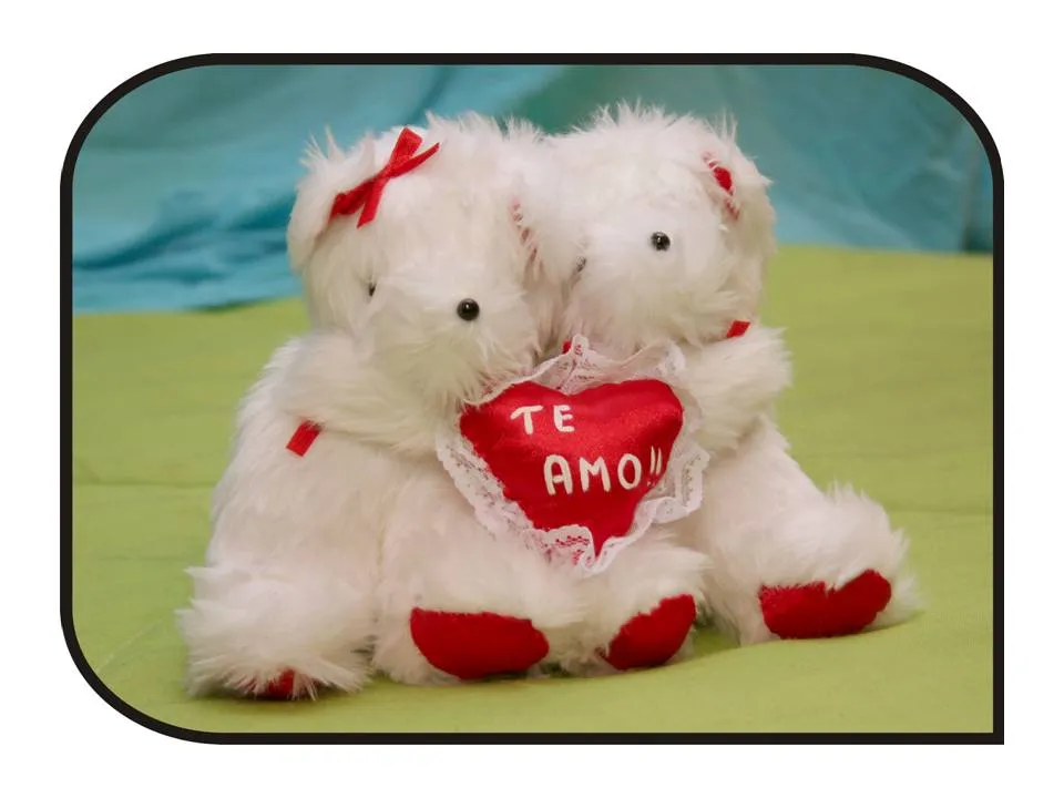 CREACIÓN DE MUÑECOS DE PELUCHE: PARA ENAMORADOS