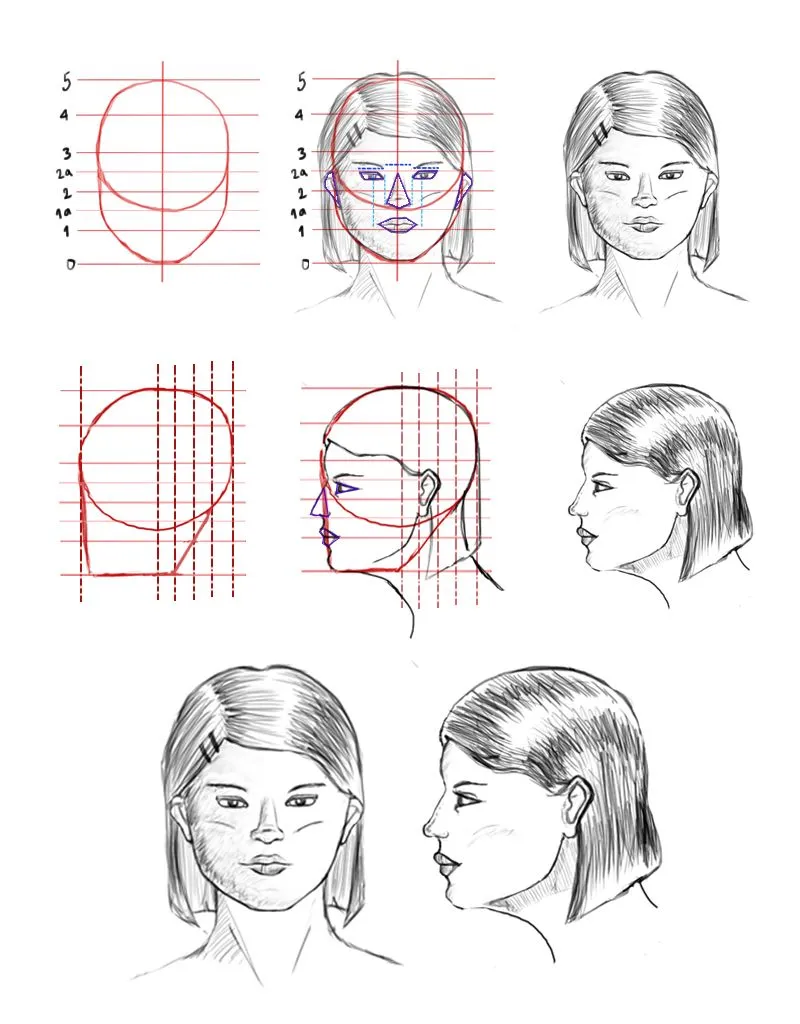 Creación de Personajes Humorísticos: Dibujo de rostro humano