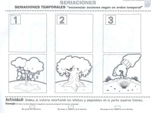 Crecimiento de una semilla para colorear - Imagui