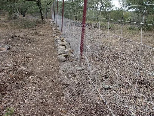 Cria de conejos en Puerto Moral | Guadalinfo