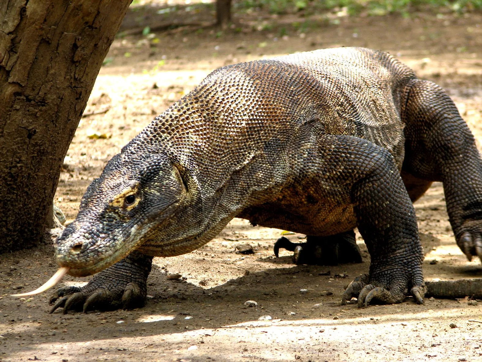 CRIATURAS Y HUMANOIDES: febrero 2012