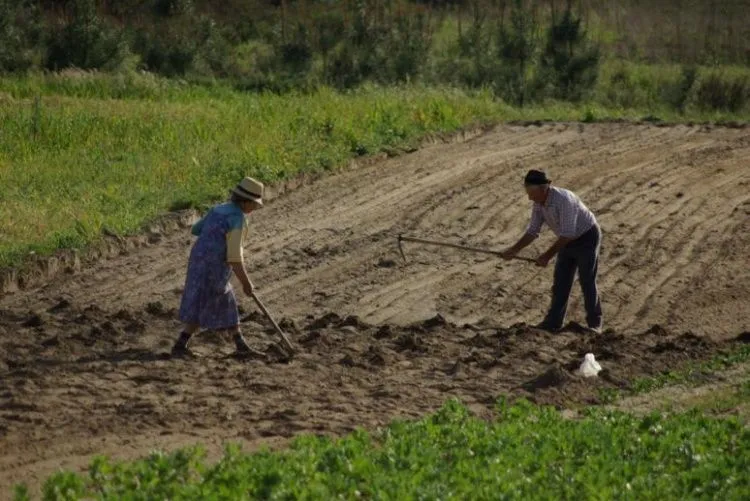 HACIA UNA NUEVA CRISIS ALIMENTARIA III | EL PROYECTO MATRIZ