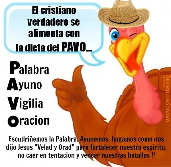 El cristiano verdadero se alimenta con la dieta del PAVO ...