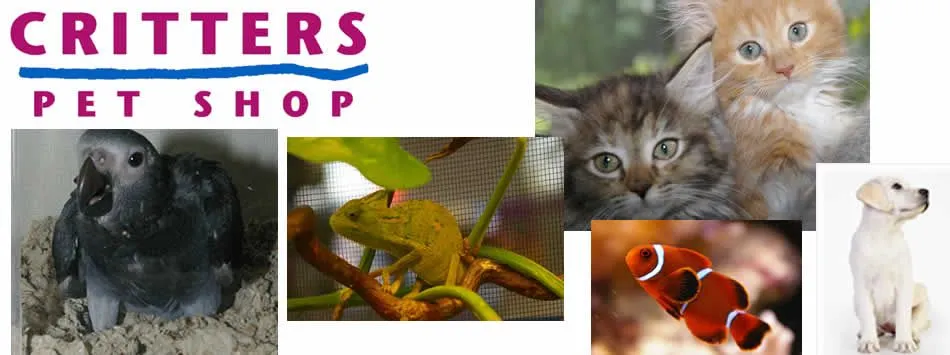 Critters Pet Shop - 566 Randall Rd. South Elgin. (Between Caputo's ...