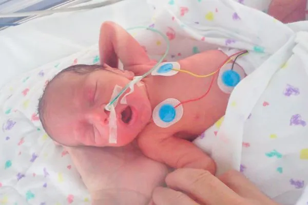 La Crónica del Quindío :: Diario Regional Armenia Quindío Colombia ...