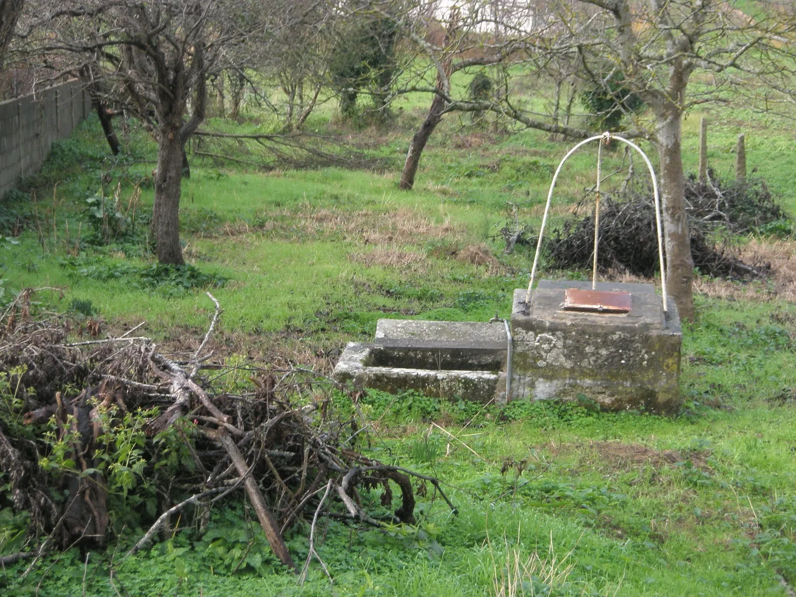 CROSSWORDS: Campos verdes, verdes sueños