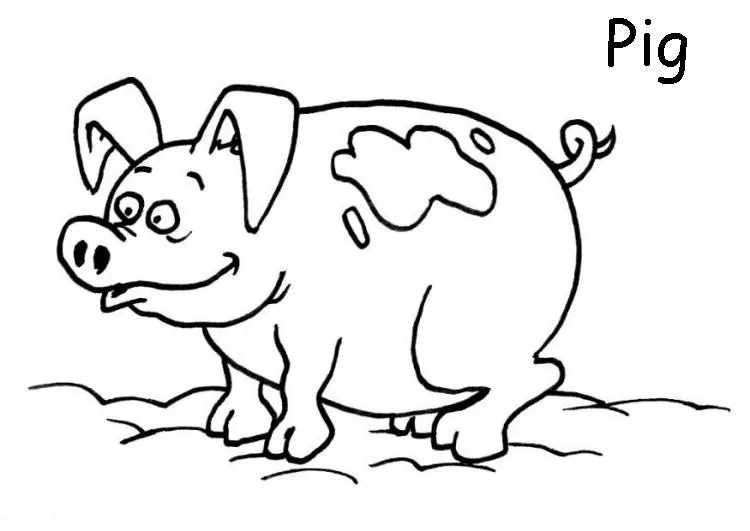 Mi cuadernillo de inglés: Animales domésticos para colorear