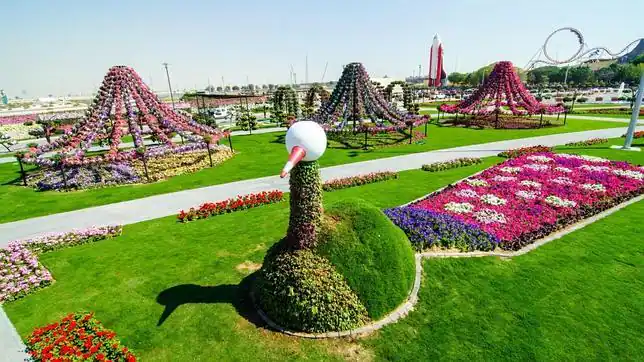 Cuaderno de apuntes: El beso de los 6000 años, un gorila ...