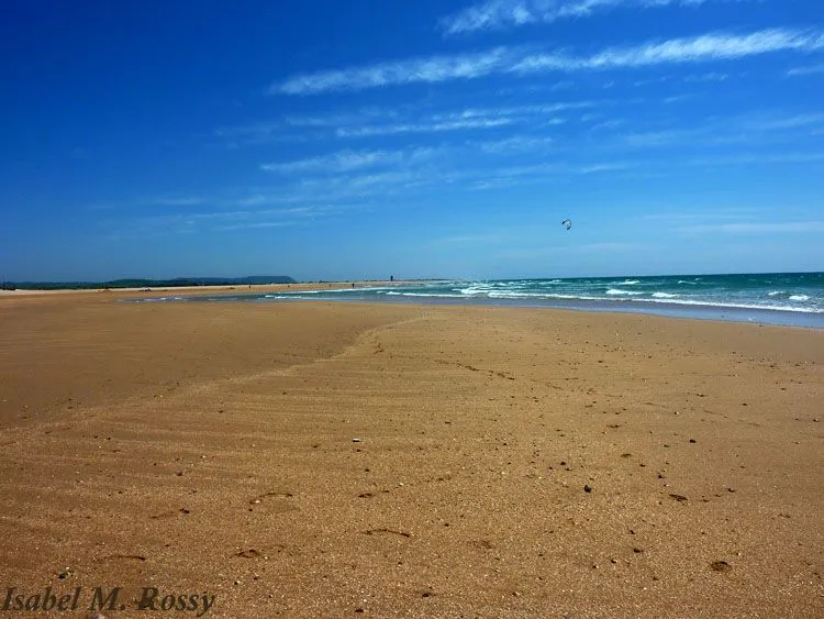 Cuaderno de Mareas: El Mar del Sur / Conil (Cádiz) - II -