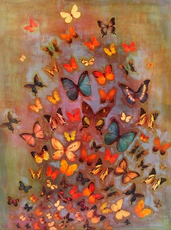 Cuadro de mariposas | arte | Pinterest