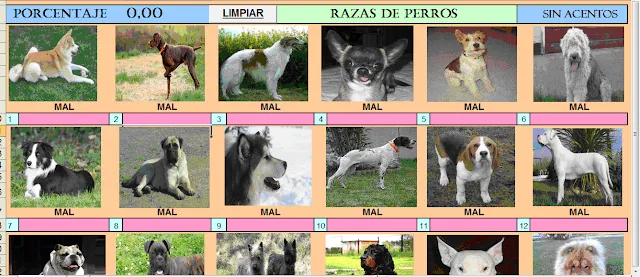 Cuadro razas de perros - Imagui