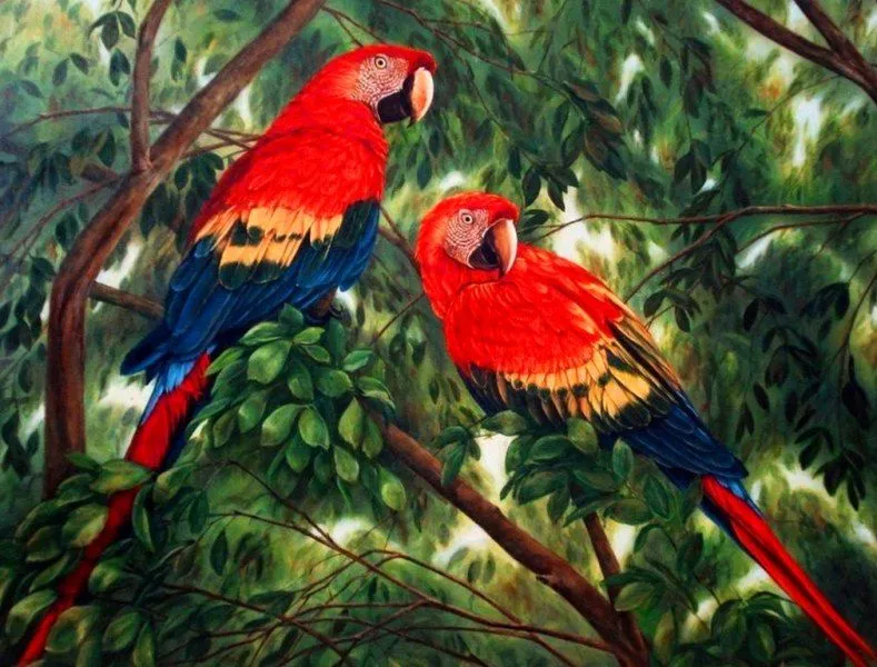 Cuadros de aves decorativos | Imágenes de Pinturas