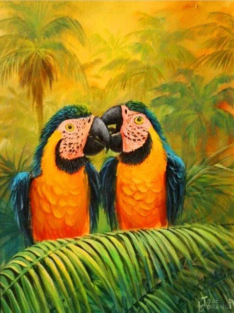 Cuadros de guacamayas | El club del arte, pinturas