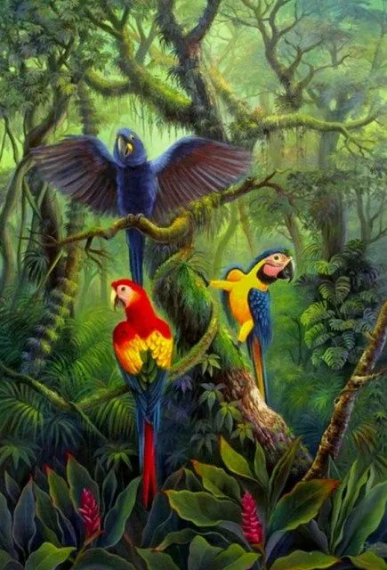 Cuadros de guacamayas | Pinturas al Óleo