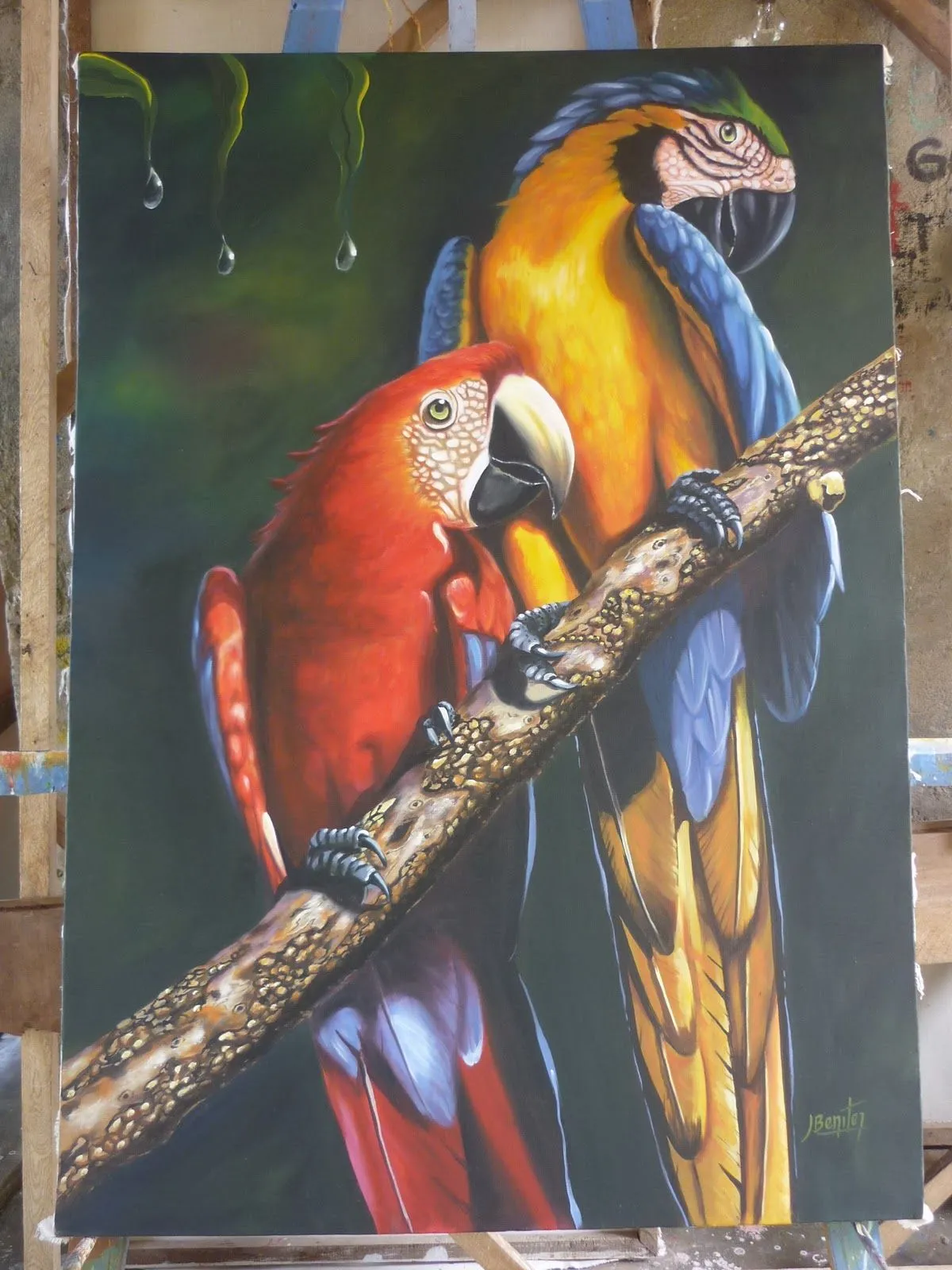 Cuadros De Guacamayas Pinturas Al Oleo Arte En Pictures