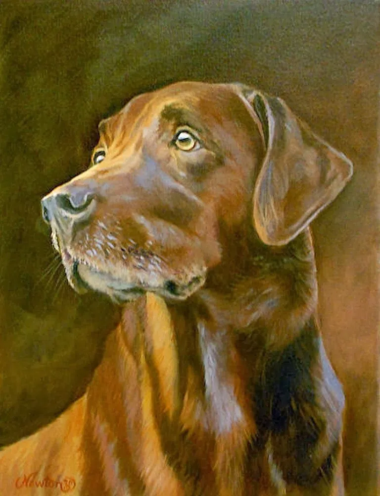 Pintura de perros al oleo - Imagui