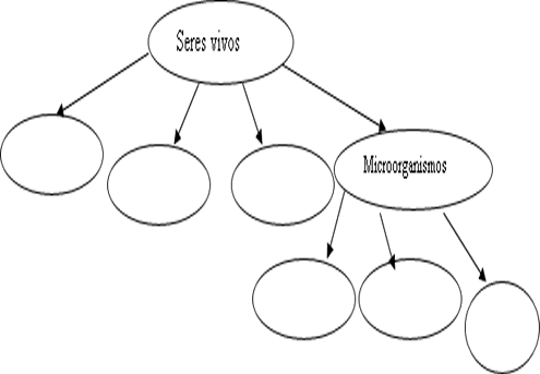 Cuarto año San Andrés Avelino: Guía de trabajo Nº 1 "Seres vivos"