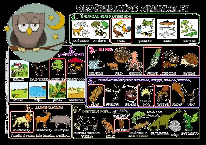 YA ESTAMOS EN CUARTO: DESCRIPCIÓN DE PERSONAS, ANIMALES Y OBJETOS