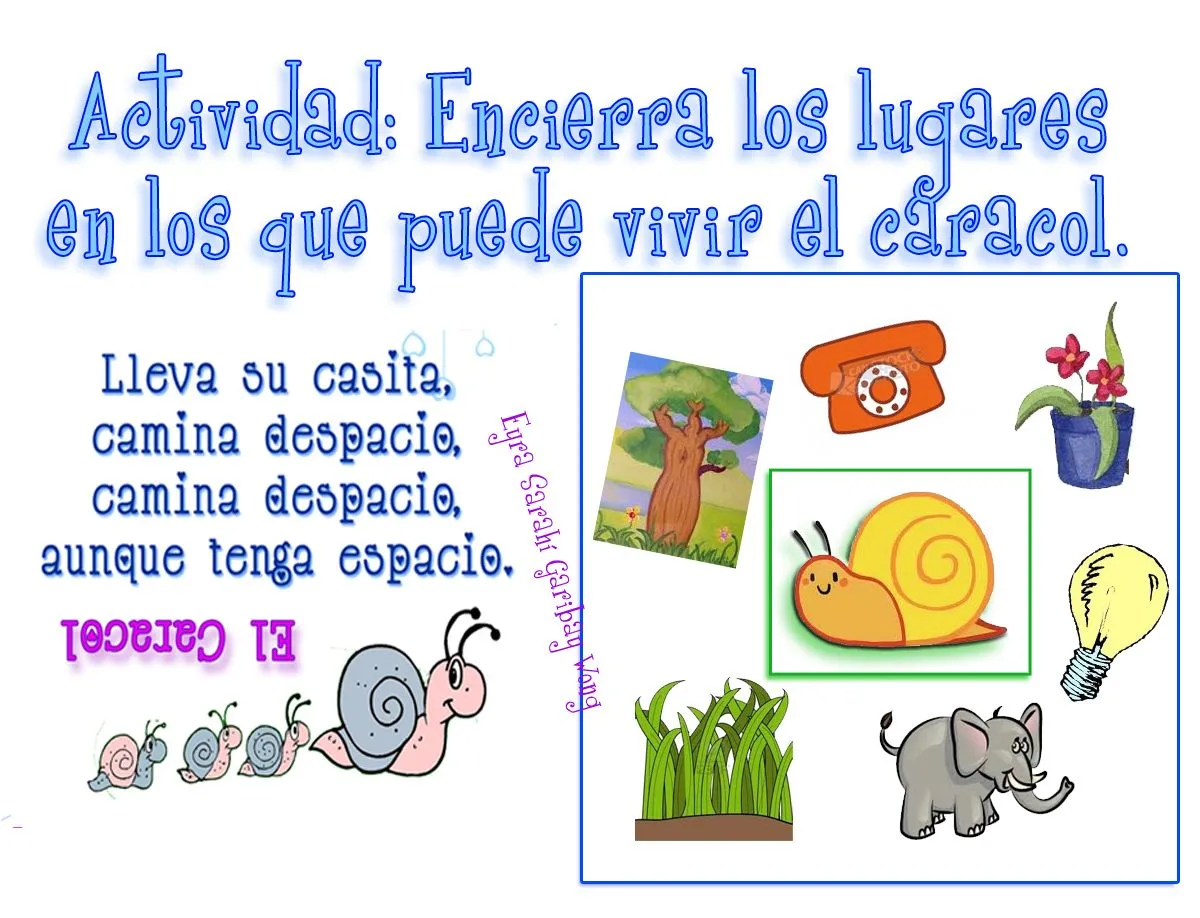 TE CUENTO UN CUENTO: Adivinanzas con actividades