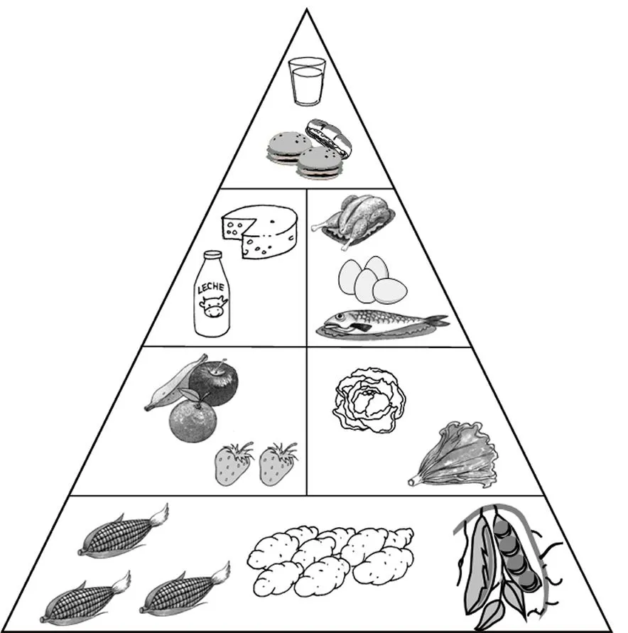 CuentosDeDonCoco.Com: PIRÁMIDE ALIMENTICIA PARA COLOREAR