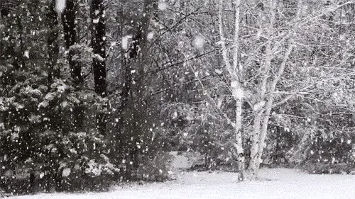 Cuerda de Funámbulo: DOS DIAS NEVANDO...