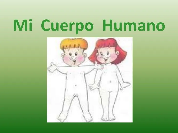 Cuerpo Humano animado