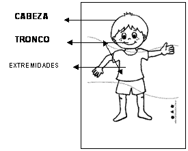 El cuerpo humano está constituido por tres dimensiones que le ...